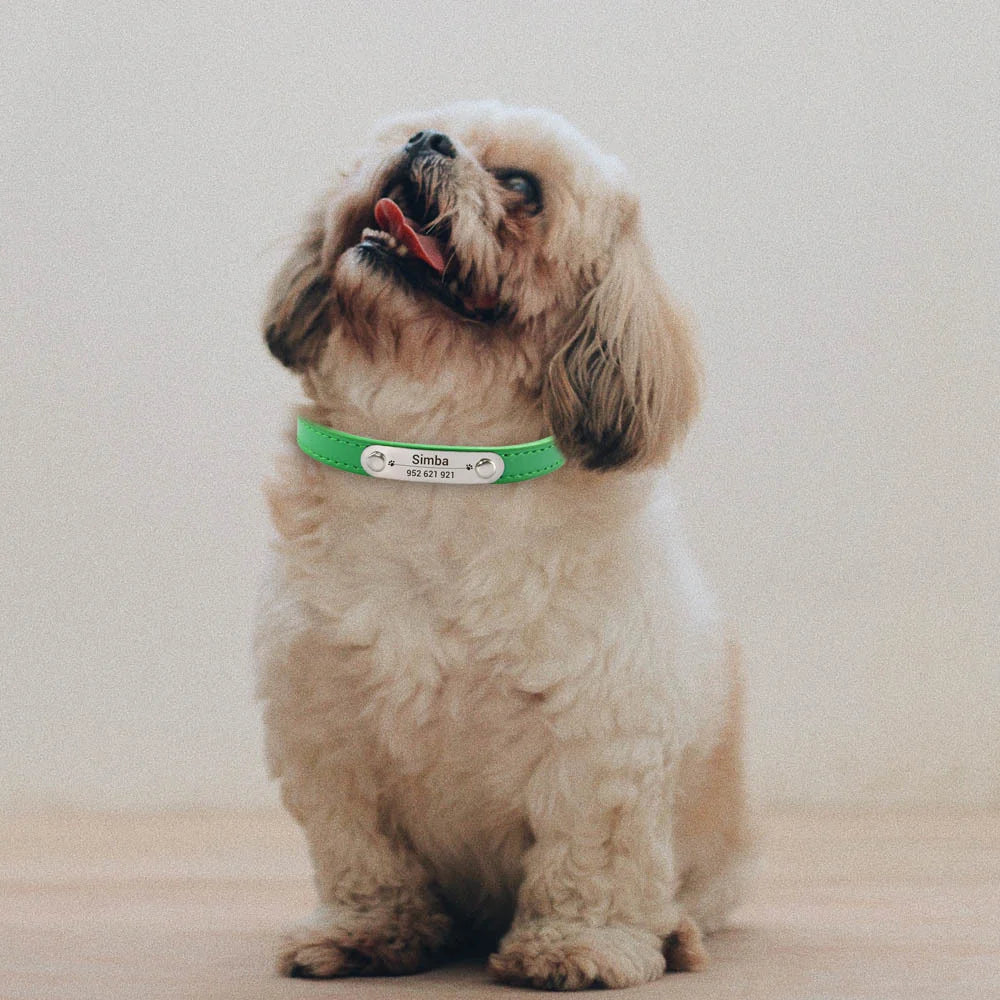 Personalized Dog Collar Name Carved 16 Colors Solid PU Leather Collar For Small Medium Large Dogs Puppy Cat Accessories Red Pink