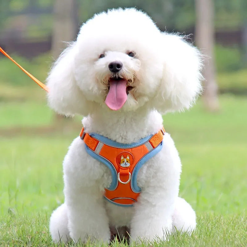 Adjustable Pet Harness for Small Dogs Outdoor Walking Cat Dog Harness Vest Chest Rope Set Reflective Breathable  Harness