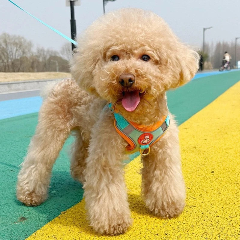 Adjustable Pet Harness for Small Dogs Outdoor Walking Cat Dog Harness Vest Chest Rope Set Reflective Breathable  Harness